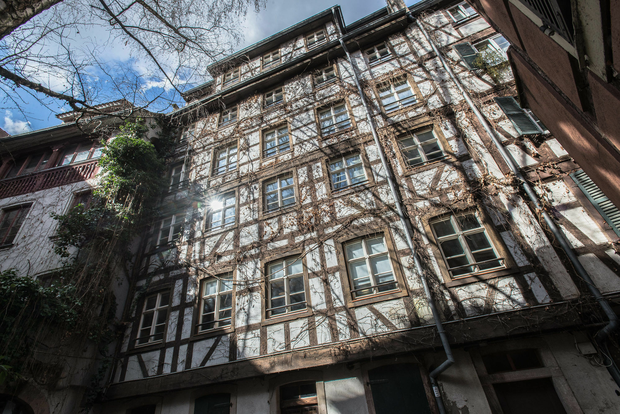 Appartement Des Moulins Strasburg Zewnętrze zdjęcie